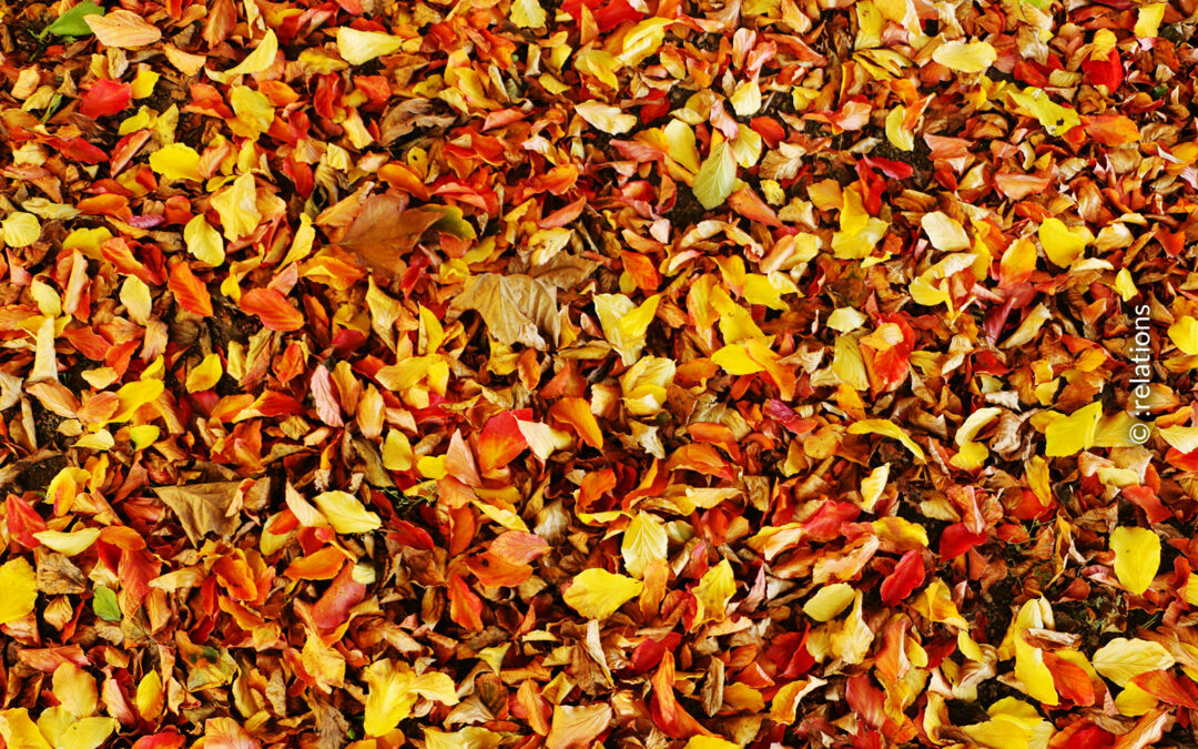 Von Kürbis bis Halloween: genussvoll durch den Herbst